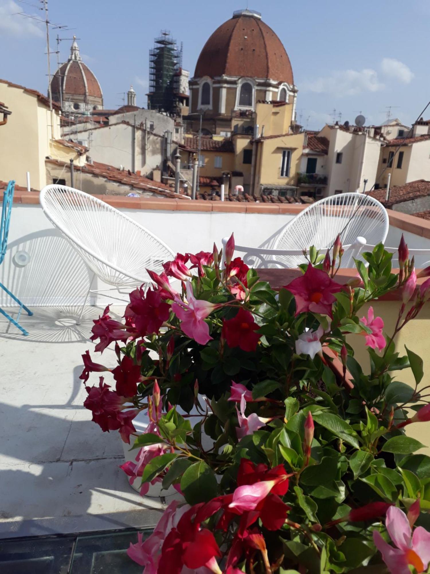 Pensión The Dream Terrace - Giulia Rose *